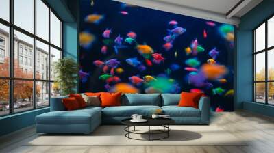 Colorful fish variety in aquarium, pet store Wall mural