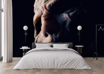 horror monster Wall mural