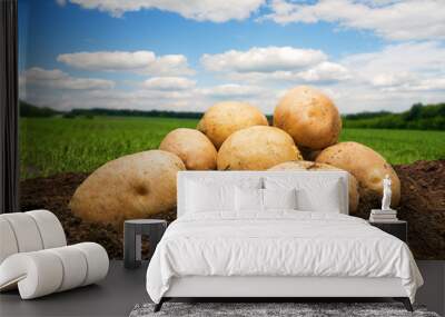 Potatoes on the ground under blue sky Wall mural