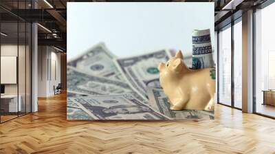 Piggy bank and usd american dollar banknotes on the background Wall mural