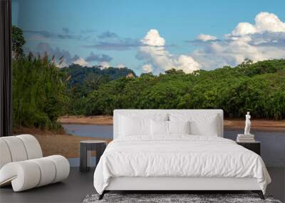 River floating through green Rainforest, Bolivia, Madidi National Park at golden hour Wall mural