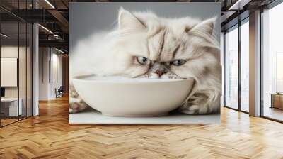 Adorable Persian Cat Drinking Milk Wall mural