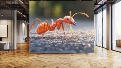 Close-up Photography of a Red Ant Wall mural