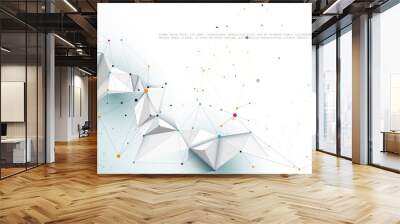 Illustration Abstract Molecules with Lines, Geometric, Polygon, Triangle pattern. Vector design network communication technology on white gray color background.Futuristic, science technology concept Wall mural