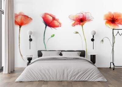 Watercolor painting poppy flower. Isolated flowers on white background. Set of Pink and red poppy flower painting. Hand painted watercolor floral, flower background. Wall mural