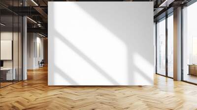 natural light and shadow from window overlay effect on white background. silhouette light abstract c Wall mural