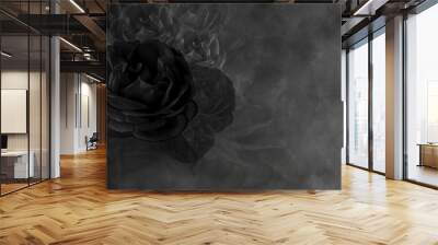 Textured black rose and black cement background, wallpaper,name card, copy space Wall mural