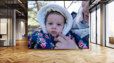 Mother and baby enjoying their time together on a picnic amidst green fields, creating lovely memories Wall mural