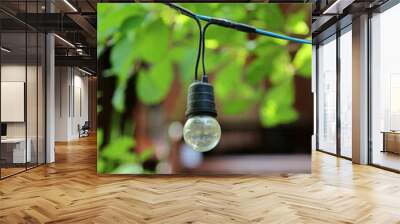 Colse-up of light bulb on green background Wall mural