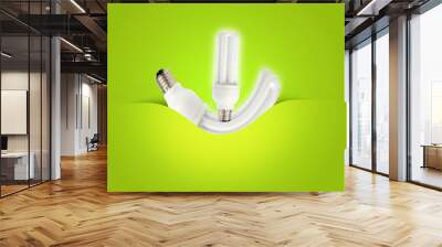 a modern energy-saving lightbulb ideal for ecology, energy conce Wall mural