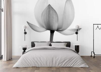 Lotus flower black and white color isolated on white background. File contains with clipping path. Wall mural