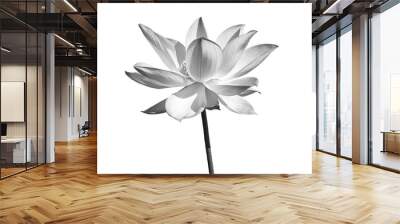 Lotus flower black and white color isolated on white background. File contains with clipping path. Wall mural