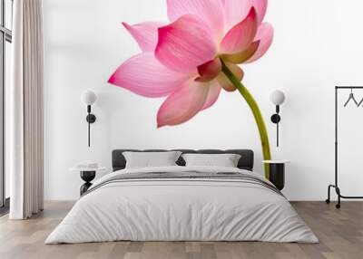 Lotus flower isolated on white background. Nature concept For advertising design and assembly. File contains with clipping path so easy to work. Wall mural