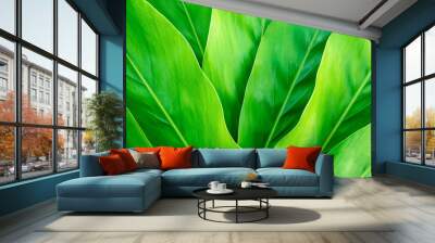 Tropical leaf, Green leaves pattern background, Nature background Wall mural