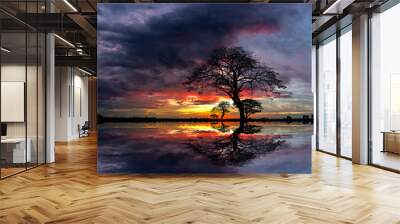 Panorama silhouette tree and dark clouds in africa with sunset.Tree silhouetted against a setting sun reflection on water.Typical african sunset with acacia trees in Masai Mara, Kenya. Wall mural