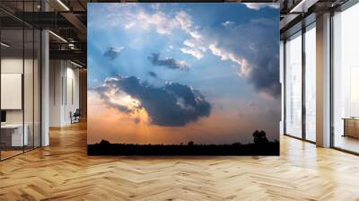 Panorama silhouette tree in africa with sunset.Tree silhouetted against a setting sun. Wall mural