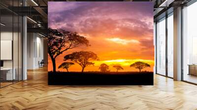 Panorama silhouette tree in africa with sunset.Tree silhouetted against a setting sun.Dark tree on open field dramatic sunrise.Typical african sunset with acacia trees in Masai Mara, Kenya Wall mural