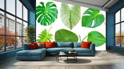 Set of Tropical leaves isolated on white background. Wall mural