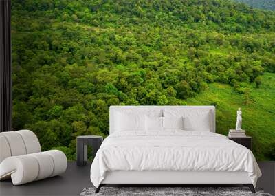 Top view of the lush green plant on mountain.Arial view green forest asia. Wall mural