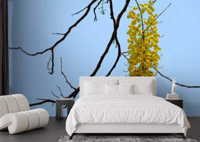 Yellow flowers / Coon flower, blue sky background Wall mural