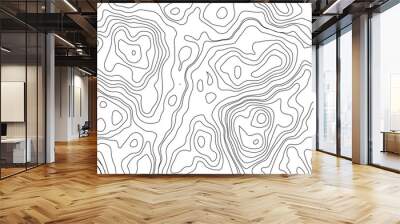 Topographic map. Geographic mountain relief. Abstract lines background. Contour maps. Vector illustration, Modern design with White background with topographic wavy pattern Wall mural