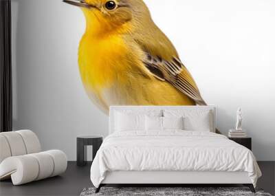 bird isolated on transparent background Wall mural