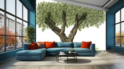 Olive tree watercolor hand painted illustration isolated on white background Wall mural