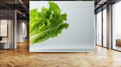 Floating Lettuce Leaf on Subtle Background Wall mural