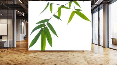 Green bamboo leaves on isolated white background. Wall mural