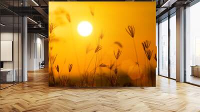 Grass flowers sunset Wall mural