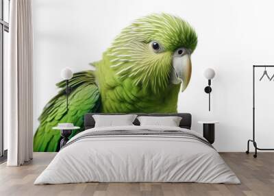 Beautiful green parrot with feathers, isolated on transparent background Wall mural