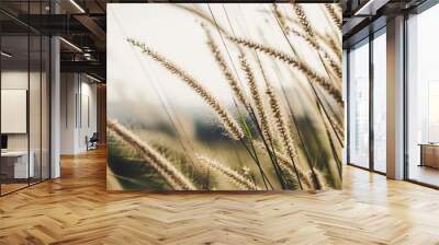 Grass field Wall mural