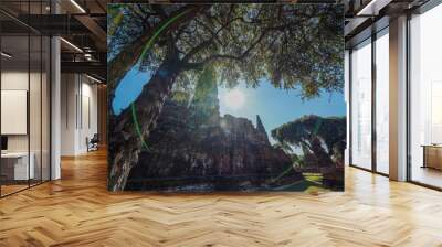 Ruins of pagodas, Buddha images and the walls of Wat Phra Ram, Ayutthaya, Thailand that were destroyed by Burmese soldiers in 1767. Wall mural