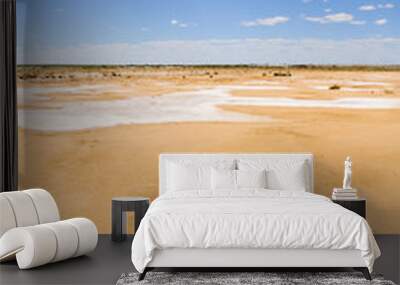 salt desert near lake eyre south, australia Wall mural