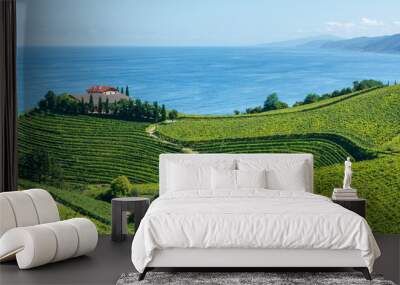 Txakoli vineyards with Cantabrian sea in the background, Getaria in Basque Country, Spain Wall mural