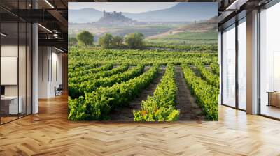 vineyard, san vicente de la sonsierra as background, la rioja Wall mural