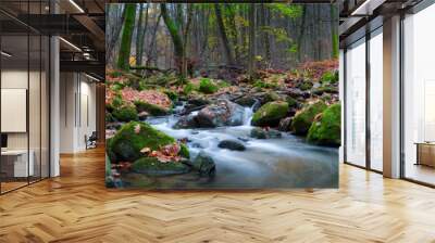 River Sembera, Central Bohemia. The river Sembera sources near to community of Jevany, Central Bohemia in an altitude of 415 m. Wall mural