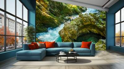 View on the Vintgar Gorge waterfall in Slovenia Wall mural