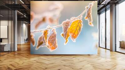 yellow leaves on  branch of apple-tree are covered with  first snow Winter in garden Wall mural