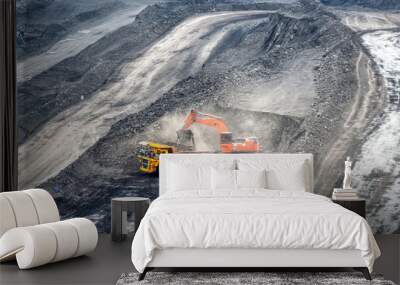 Coal mining in a quarry. A hydraulic excavator loads a dump truck. Wall mural