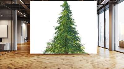 pine tree isolated on white background illustration Wall mural