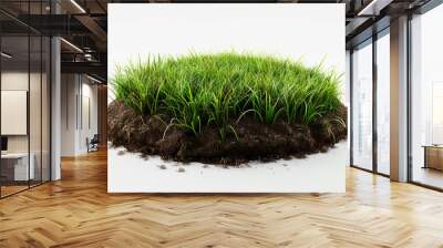 3D depiction of round soil ground with earth and lush green grass on white. Wall mural