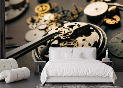 many parts of mechanical wristwatch Wall mural