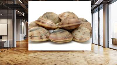 Live clams Wall mural