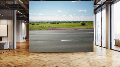 green meadow with trees and asphalt road, blue sky on background Wall mural