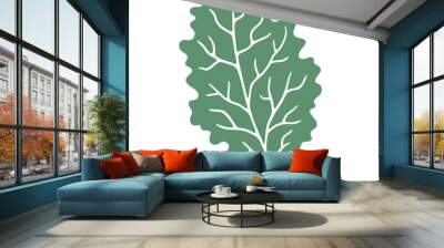 Kale leaf isolated on white Wall mural