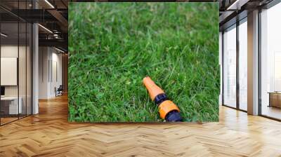 The garden water hose laying on the green grass Wall mural