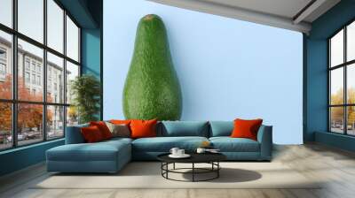 whole avocado on a light blue background Wall mural