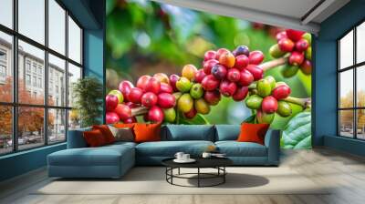 Close-Up of Glossy Red and Green Coffee Beans on Branch Surrounded by Lush Green Foliage, Capturing Coffee Production Essence with Shallow Depth of Field and Vibrant Natural Wall mural