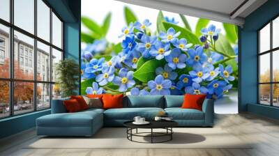 Forget-Me-Nots Blooming in Springtime, blue flowers, white background, green leaves, delicate, forget-me-not, flower Wall mural